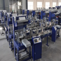 Zhangjiagang City Worita Packaging Machinery Co., 