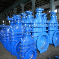 Gate Valve