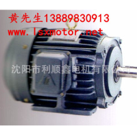 Taiwan East yuan motor TECO TECO horizontal brake motor