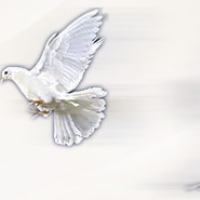 Tieling hong yu seal mold factory