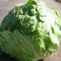 凌源市东远农贸科技发展有限责任公司