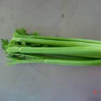 凌源市东远农贸科技发展有限责任公司