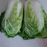 凌源市东远农贸科技发展有限责任公司