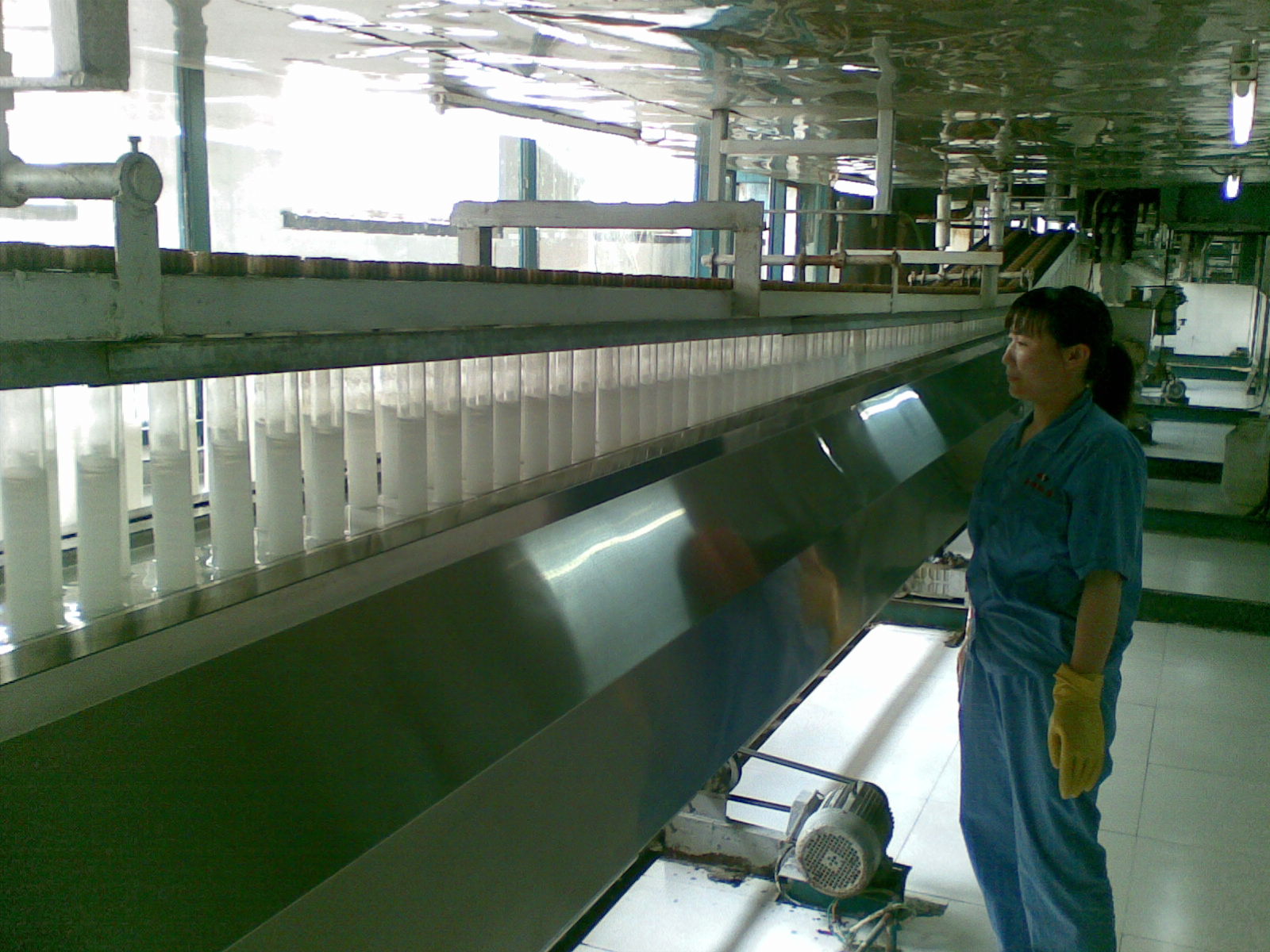 Dongyang Songpu Latex（Jinzhou）Co.,Ltd.