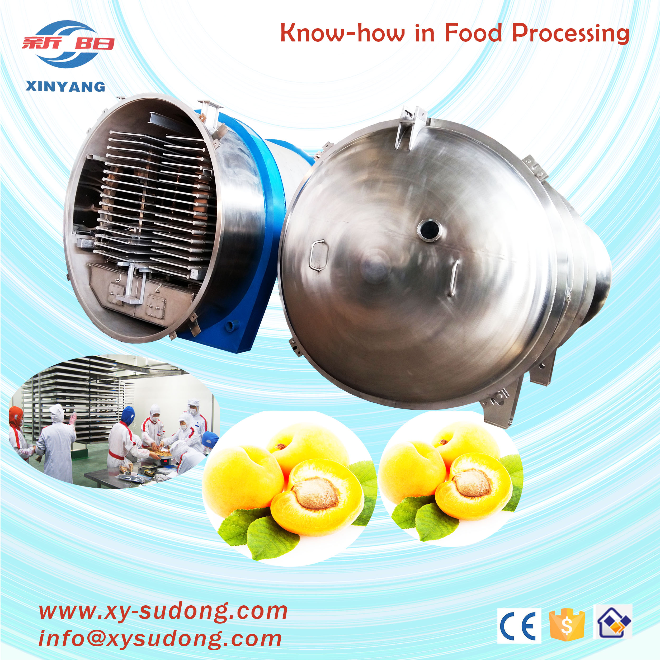 Pilot small freeze dryer for durian