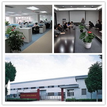 LEESUN POWER TECHNOLOGY CO., LTD