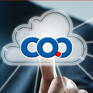 Yueqing Qicheng Electric Co., Ltd.