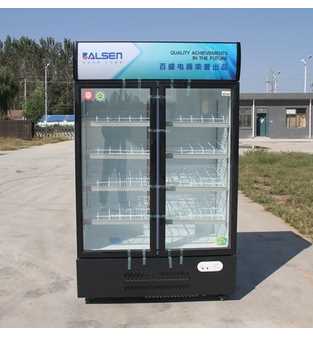 460L glass door pepsi visi cooler 