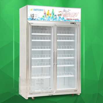 Two doors store freezer