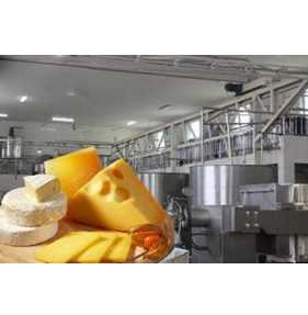 Mozzarella, Hallomi Cheese (Butter) Production Line