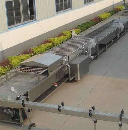 Canned Vegetable/Fruit Production Line