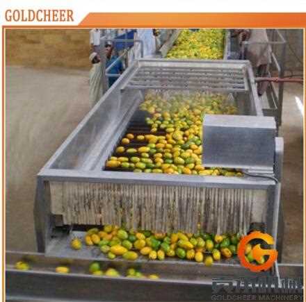 Professional Manufacture juice mango pulp production line