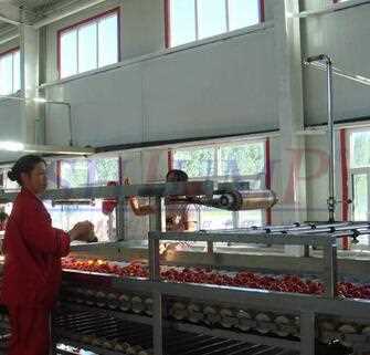 vegetable fruit juicer packaging machine / extractor machine