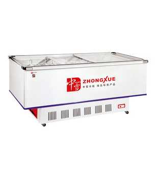 cold storage chest electric refrigerator price ice cream freezer 