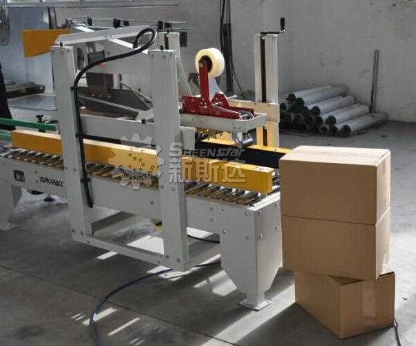 ZX15 Series Automatic Bottled Beverage Case Packing Machine