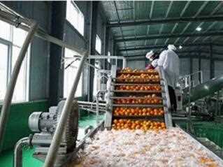 Fruit juice production line