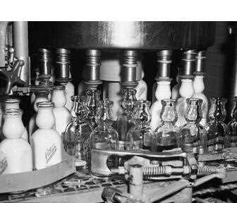 Dairy Yogurt Milk Production Line/Yourt Milk Machinery/Plant