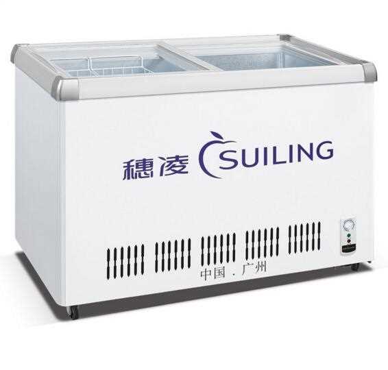 550L Two glass door meat chest freezer/gas freezer WD-550