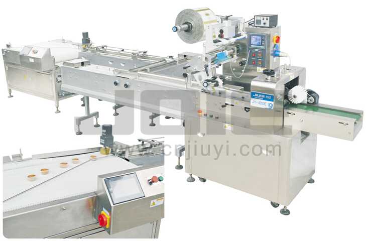 JY-400E Full Automatic feeding and packaging system
