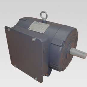 NEMA motors SLD series 