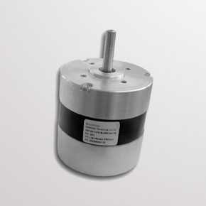DC motors BL series 