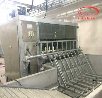 Livestock slaughter hair removal equipment using with carcass scalding machine 