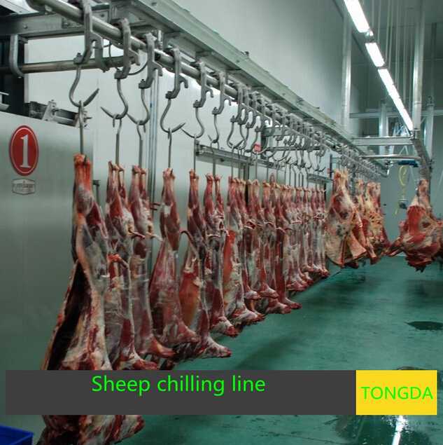 Cattle slaugtering line--chilling rail