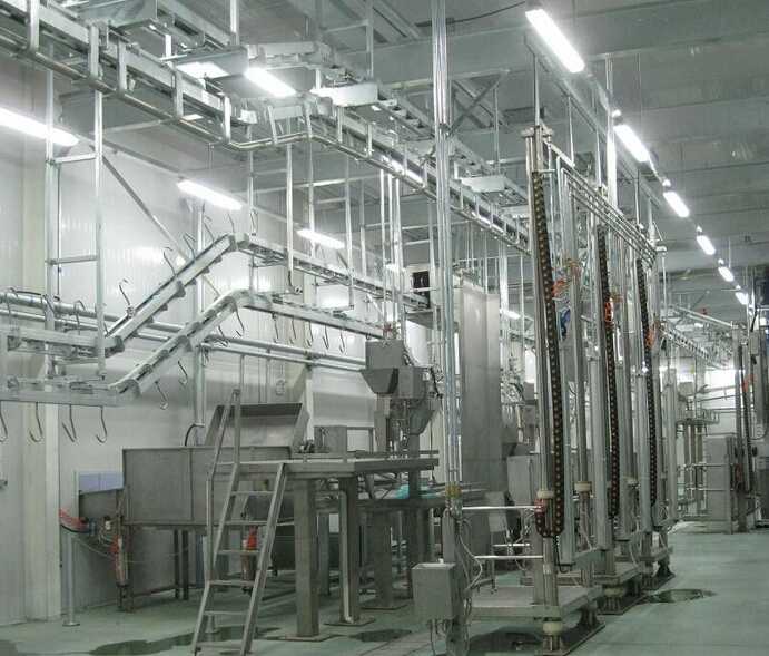 platform for splitting- cattle slaughering line