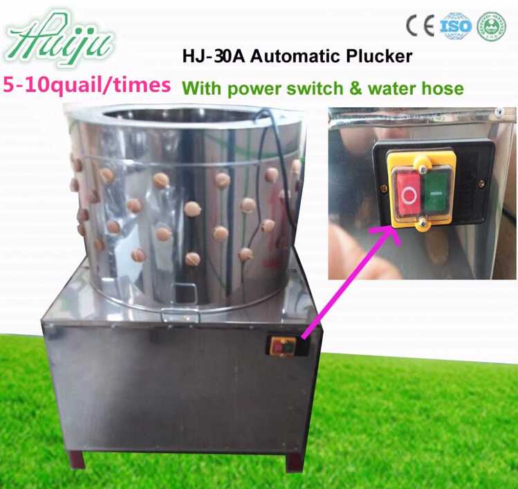 slaughtering machine top class quail plucker machine HJ-30A 
