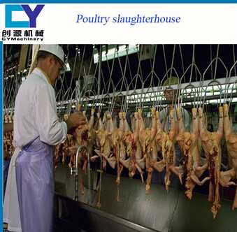 poultry processing slaughtering equipment For chicken slaughterhouse
