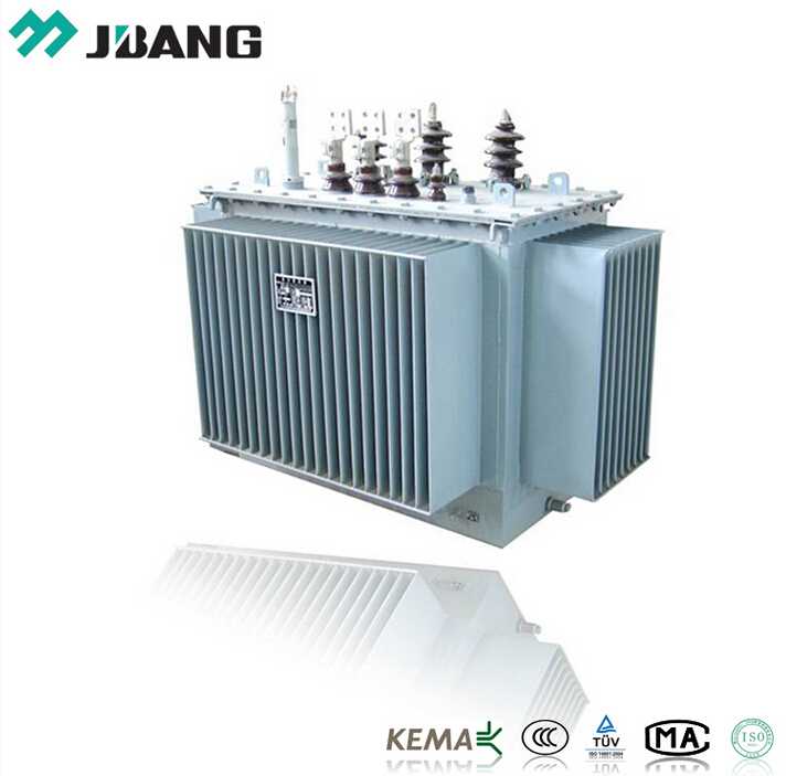 Three-phases Double-winding Oil Immersed Power Distribution Transformer 30KV/0.4KV 100KVA Outdoor Use 