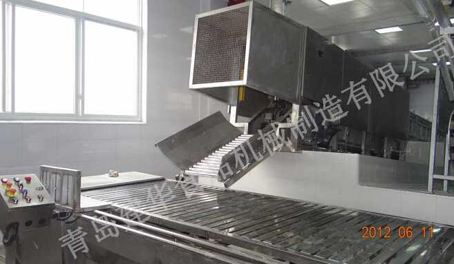 Horizontal Flat Conveyor with Bloodletting Groove