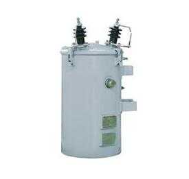 Complete Self-Protected Single-Phase Pole Mounted Transformer
