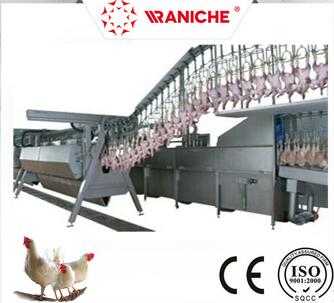 Halal Poultry slaughter Equipment / Processing Machinery 