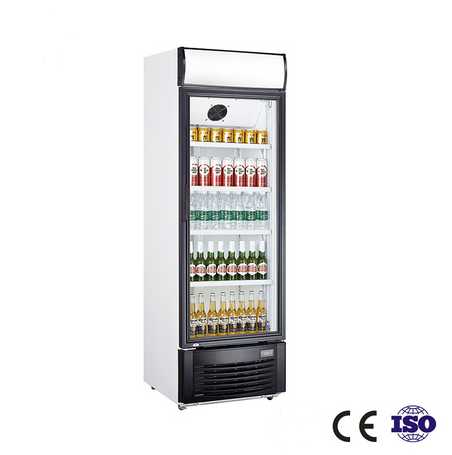 430 Liter Single Door Upright Showcase