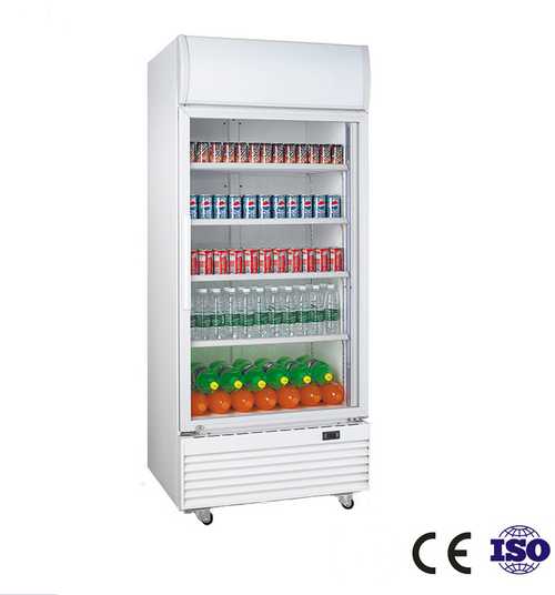 530-Liter Single Glass Door Upright Refrigerator