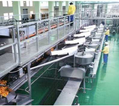 High Quality Orange Juice Production Line