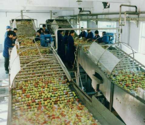 Complete Production Line for Concentrate Apple Juice with Factory Price