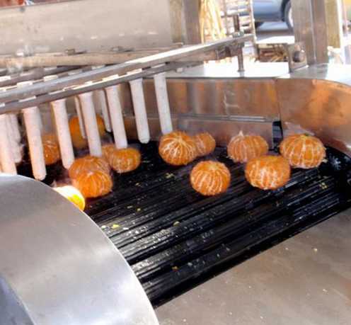 Orange Juice Machine, Orange Juice Processing Line