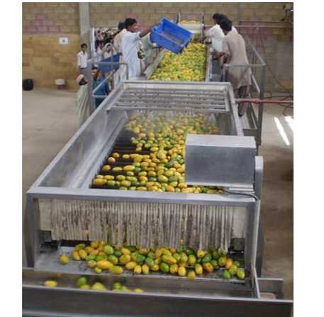 High Quality Mango Juice Processing Line