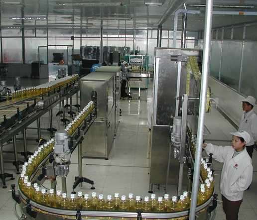 Commercial Fruit Juice Processing Line 