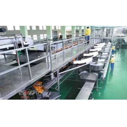 Automatic Orange Juice Production Line