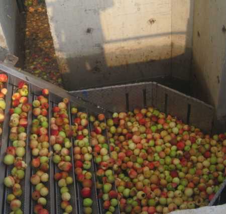 Full-Automatic Peach Juice Production Line Completely