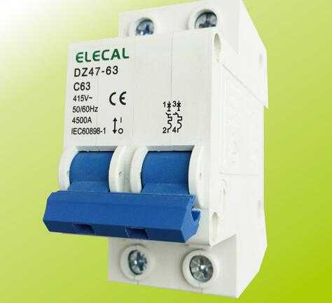 DZ47-63 2P Series Manual Type Low Voltage Mini Circuit Breaker 