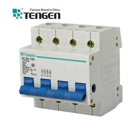 Hl30-100 Series 4 Pole 230 400V AC Isolation Swtich MCB Circuit Breaker