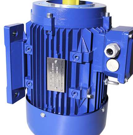 Aluminum Asynchronous Electric AC Motor