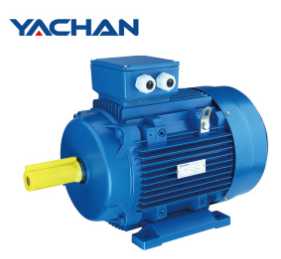 CE Approved Ms Series Aluminum Body Electric Motor