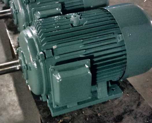 IEC 0.75 - 200 HP Tefc Three Phase Motor