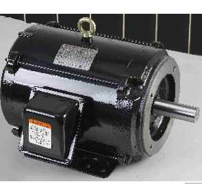 Tenv Washdown NEMA Motor