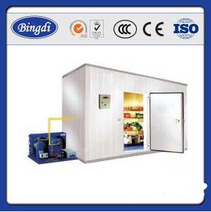 Industrial cold room